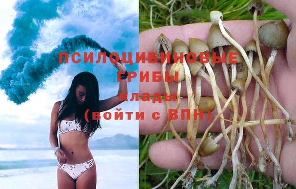 метамфетамин Белокуриха