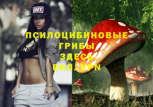 метамфетамин Белокуриха