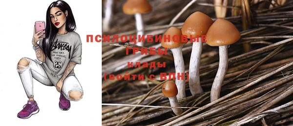ПСИЛОЦИБИНОВЫЕ ГРИБЫ Богородицк