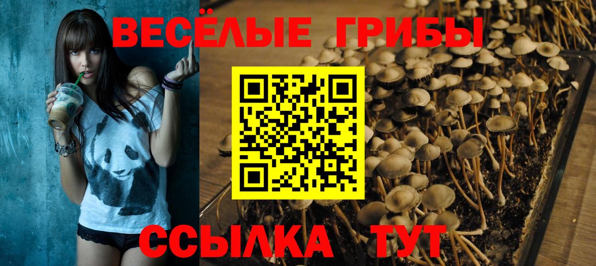 Псилоцибиновые грибы мицелий  Вход с VPN  Пятигорск 