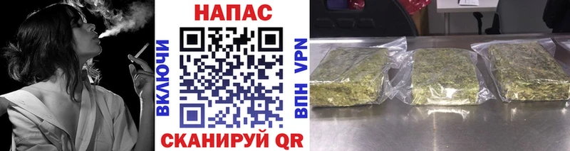 как найти наркотики  Пятигорск  Шишки марихуана VHQ 